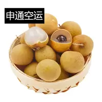 申通空运[西沛生鲜]礼盒装 海南龙眼 进口水果当季 净重4.5斤装 新鲜桂圆 精选水果 熊猫鸟