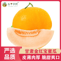 [五个农民]甘肃民勤金红宝蜜瓜现摘蜜瓜2个装5-6斤应季水果甜瓜