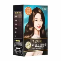 LG 睿嫣(ReEn)秀发秘策染发霜 自然棕色