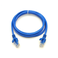 威标 WBWX5-1 五类成品网线 长度1米 (5根/件)