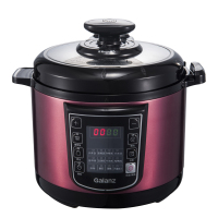 格兰仕(Galanz) 电压力锅 家用 WY3J 单个装