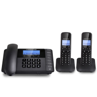 中诺(CHINO-E) W168 一拖二 电话机