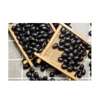 TUMEN黑豆 320g--