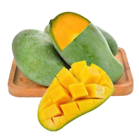 鲜贝达生鲜 广西百色桂七香芒9斤装中果(带箱9.5斤以上 单果200g 18个果左右)新鲜大青皮芒果 产地直发