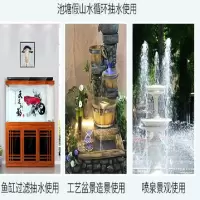白云疯狂(BAIYUNFENGKUANG) 220V潜水泵 （单位：个）