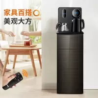 多功能家用立式双出口饮水机