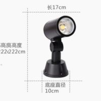 户外射灯 帝娜 10W 白光