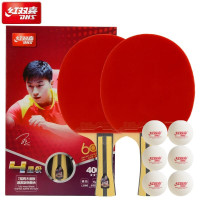 红双喜(DHS)四星级横拍乒乓球拍对拍T4002套装附乒乓球