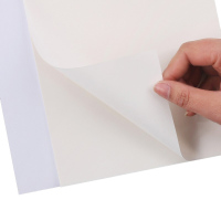 探戈（TANGO）本子 A4 业务办理明白纸本210*285mm 2联单面彩印无皮 每本50组100页