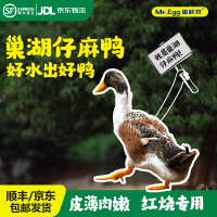 [五个农民] 巢湖仔麻鸭 1250g±100g/只 巢湖水域散养新鲜仔麻鸭 活鸭活体现杀 养殖70~100天 顺丰