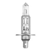 TRW 汽车灯泡 大灯远近光灯卤素灯 H1灯泡/24V