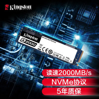 金士顿 SSD固态硬盘 A2000 (M.2接口/NVME协议）250G （个）