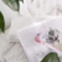 路易卡罗(Louiskellog) LK3060 天然乳胶枕