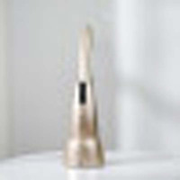 奥佳华OGAWA多功能按摩仪 香槟色OG-B203