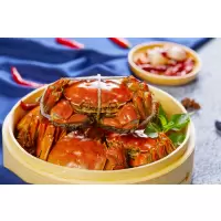 [礼券]自然译 精品生鲜红膏大闸蟹2588型 公蟹4.0两 母蟹3.0两 10只装礼盒 礼品卡