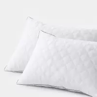 LOVO 星梦辰羽毛枕防钻绒 47*73cm nfh