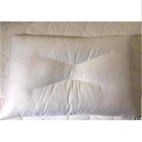 佳丽斯升级2021款丝绒枕头枕芯超柔枕护颈枕头