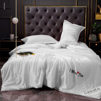 CaldiceKris(中国CK)水洗冰丝夏被CK-JF1002 1.5m*2m