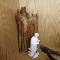 苦珠木背景(1个)