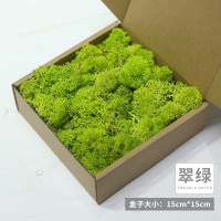 中锐智采 永生苔藓植物墙真苔藓保鲜永生花仿真植物墙微景观材料 小样翠绿色