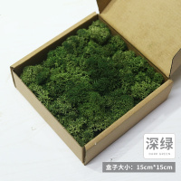 中锐智采 永生苔藓植物墙真苔藓保鲜永生花仿真植物墙微景观材料 小样深绿色