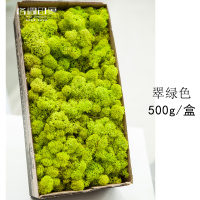 中锐智采 永生苔藓植物墙真苔藓保鲜永生花仿真植物墙微景观材料 翠绿色500g/盒