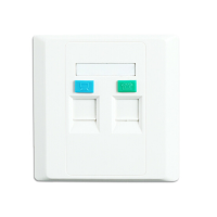 中性网络面板模块 双口