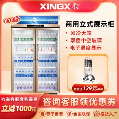 星星(XINGX)610升智能温显多款可选展示柜冷藏柜商用冰柜大容量超市便利店陈列柜冰柜饮料保鲜柜 LSC-610WD