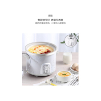 康佳 家用电炖锅 KGDG-611A(台)