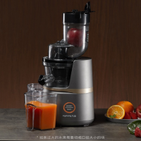 九阳原汁机家用榨汁机全自动鲜榨炸果汁机汁渣分离多功能电器 V82