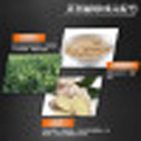 滋源 生姜洗发水无硅油男士劲能强韧养护洗发露535ml（丰盈强韧 抗扁塌 改善头皮环境）