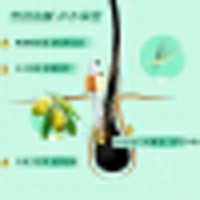 滋源 洗发水氨基酸无患子清润洗头水535ml(无硅油 植萃润养 发丝毛躁适用)