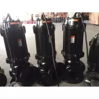 金穗慧采 潜污泵100WQ100-50-22潜水泵大流量污水泵抽粪 gk