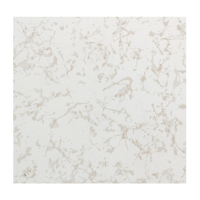 陶瓷防静电地板机房高架空防火防静电复合钢地板瓷砖面600*600