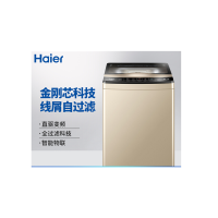 海尔(HAIER) XQB100-BZ979U1 (10KG) 洗衣机