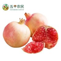 [五个农民]会理甜石榴9斤装大果