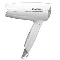 飞科 (FLYCO) FH6255 电吹风