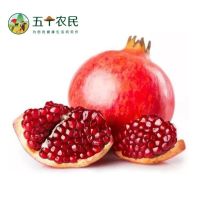 [五个农民]突尼斯软籽石榴5斤装大果