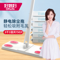 好媳妇(okaywife) 好媳妇 静电除尘拖套装 HD-7527 礼品