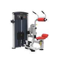 红双喜 背部/腹肌训练器 IT9534