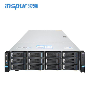 浪潮(INSPUR)GPU服务器SA5212M5（苏宁内采）