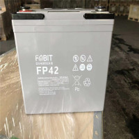 非意特12FP42 UPS 铅酸蓄电池 12V/42Ah(含安装)