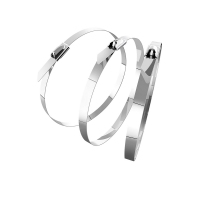 清清美304不锈钢扎带(宽4.6*长300mm/100根)BXGZD-002