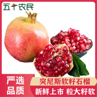 [五个农民]四川会理突尼斯软籽石榴籽大果应季新鲜水果3斤单果300-400g