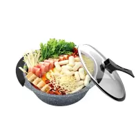 长虹-电火锅HGA21