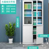 办公文件柜 铁皮资料档案柜 定制款
