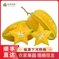 [五个农民]福建下河杨桃5粒装 红龙杨桃新鲜现摘水果试吃装