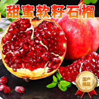 [西沛生鲜]会理突尼斯软籽石榴 净重3斤 大果 单果300-350g 新鲜孕妇水果 坏果包赔 西沛