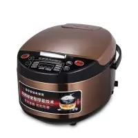 荣事达 Royalstar 电饭煲 RFB-S50Z16