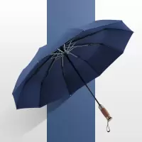 美度(MAYDU)大号全自动雨伞男士折叠商务伞十骨加固防风双人晴雨伞 M3376深蓝色